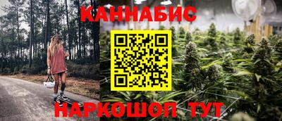 стафф Моздок