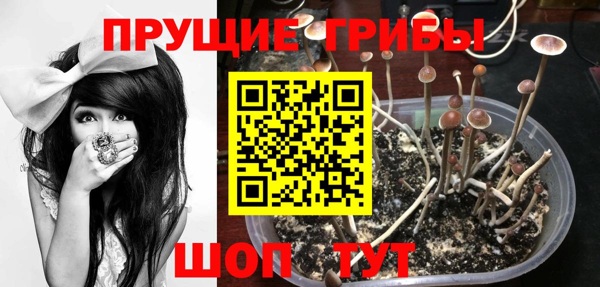 Галлюциногенные грибы Magic Shrooms  Вход с VPN  наркота  Псилоцибиновые грибы ЛСД  Ярославль 