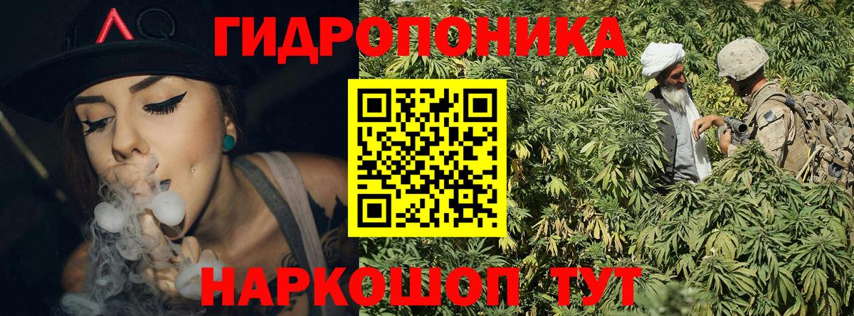 Каннабис ГИДРОПОН Ярославль
